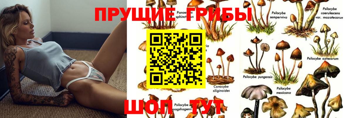 Ярцево  Галлюциногенные грибы MAGIC MUSHROOMS  Вход с VPN 